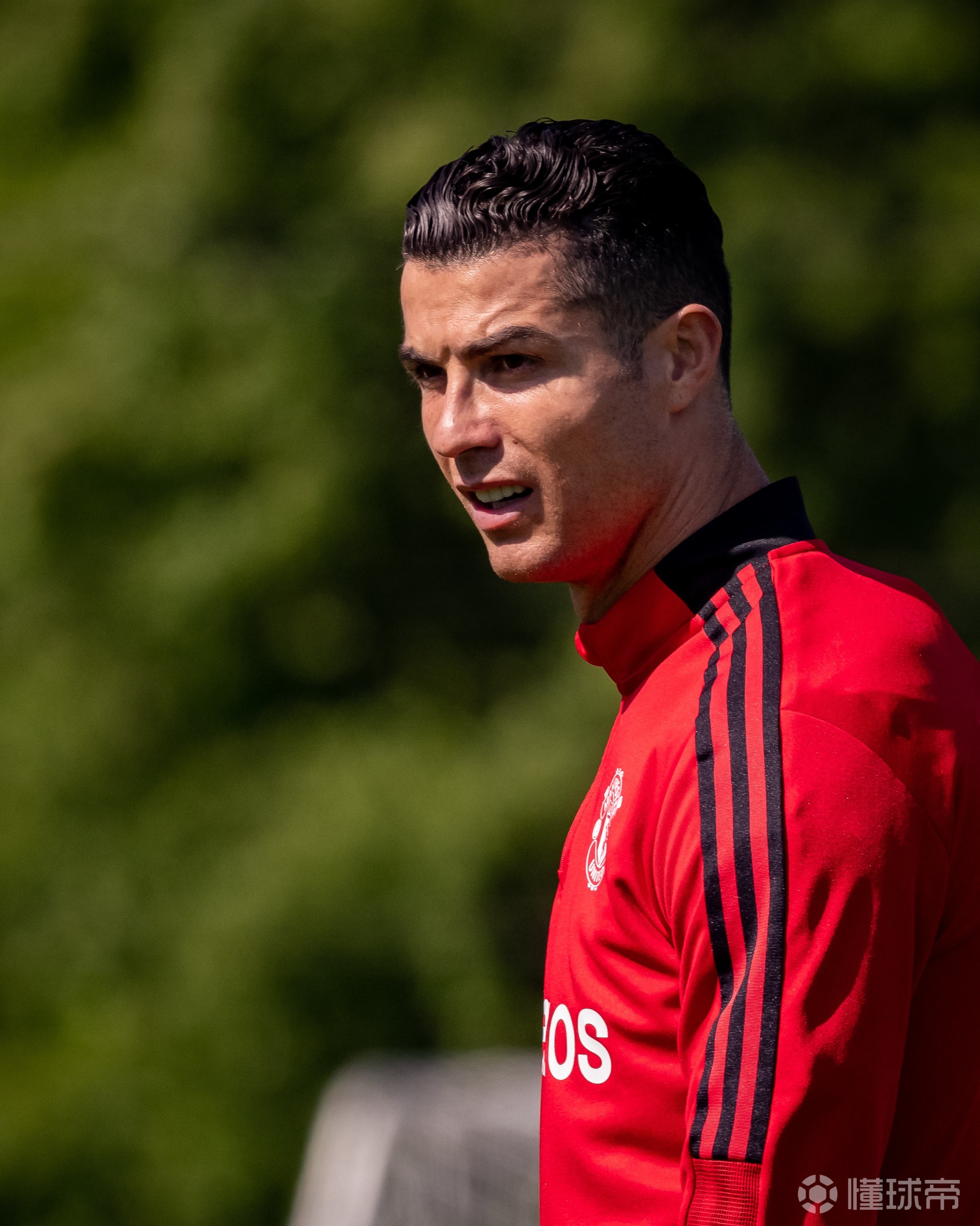 爱游戏体育官方网站-二胡曲野蜂飞舞